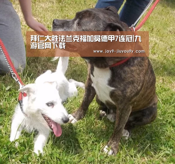 九游游戏平台官网