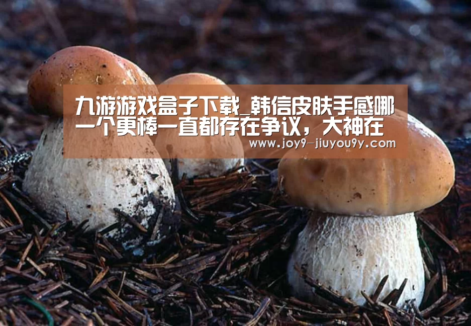 九游游戏盒子下载