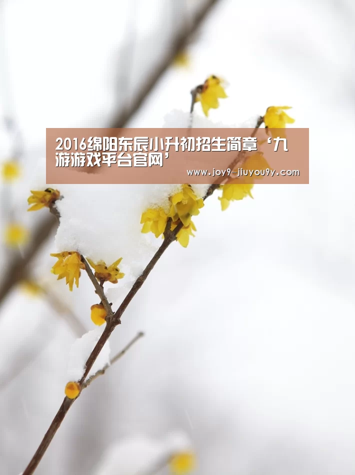 2016绵阳东辰小升初招生简章‘九游游戏平台官网’(图2) 九游官网下载