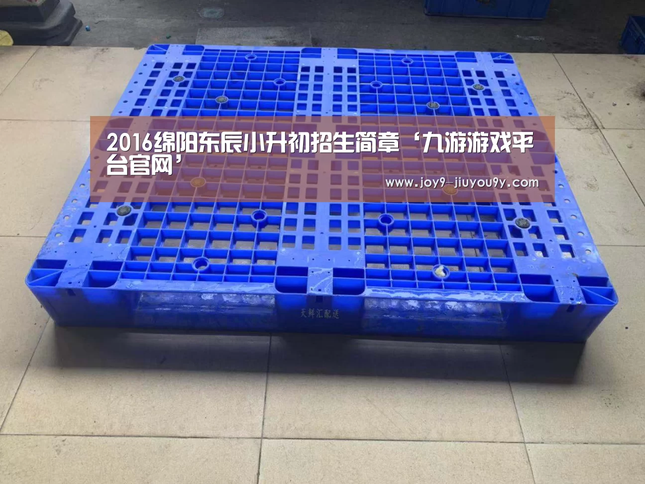 2016绵阳东辰小升初招生简章‘九游游戏平台官网’(图3) 九游游戏中心手机版