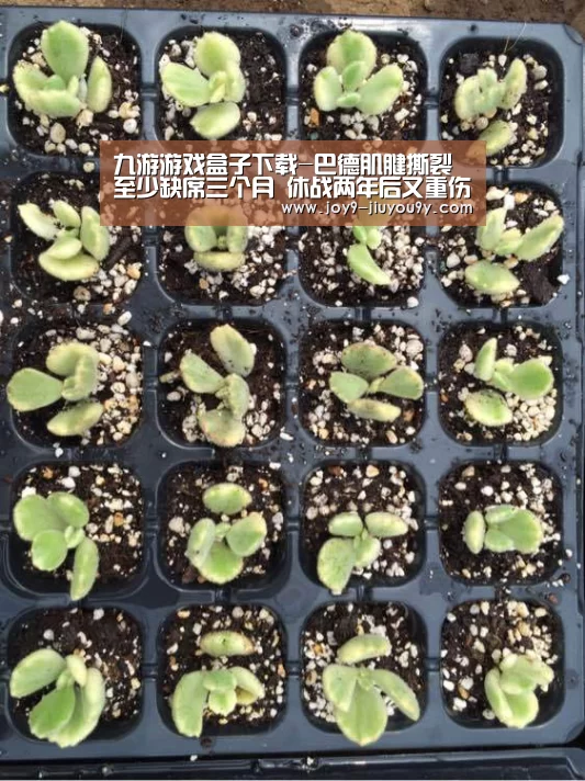 九游游戏中心手机版