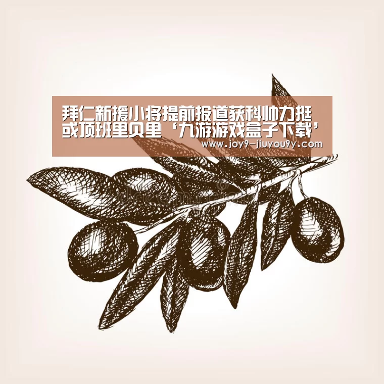 九游游戏盒子下载
