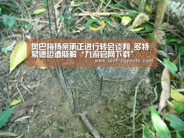 九游官网下载