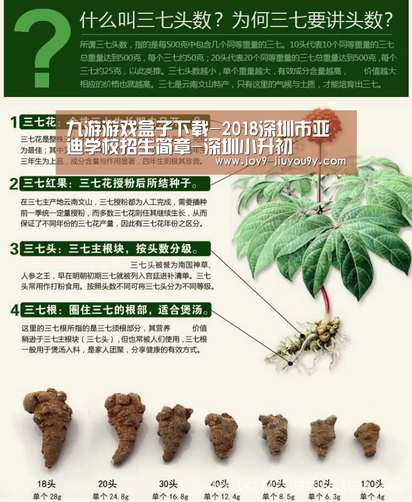 九游游戏中心手机版