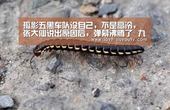 孤影五黑车队没自己,不是高冷,张大仙说出原因后,弹幕沸腾了-九游游戏中心手机版(图2) 九游游戏平台官网
